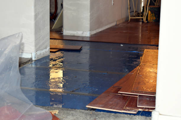 Professional Burst Pipe Cleanup technician working in Genoa, IL